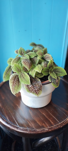 TXUKRUT Bar - Bilbao