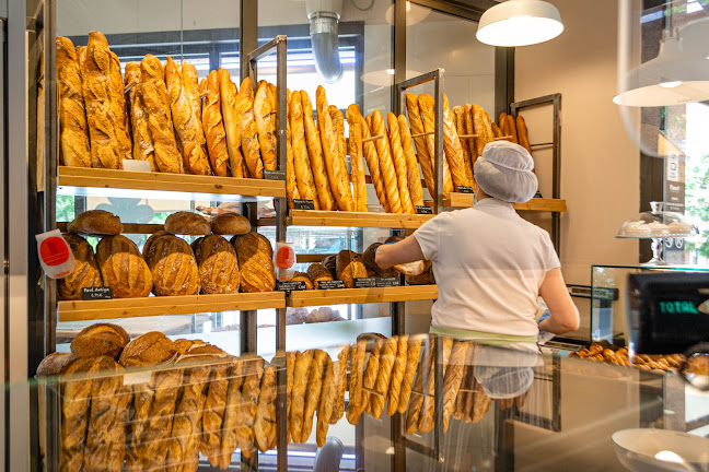 Ronda de Sant Ramon, 96, 08830 Sant Boi de Llobregat, Barcelona
