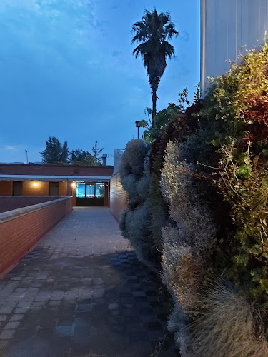 Bar An Ting - Gastronomía y hostelería