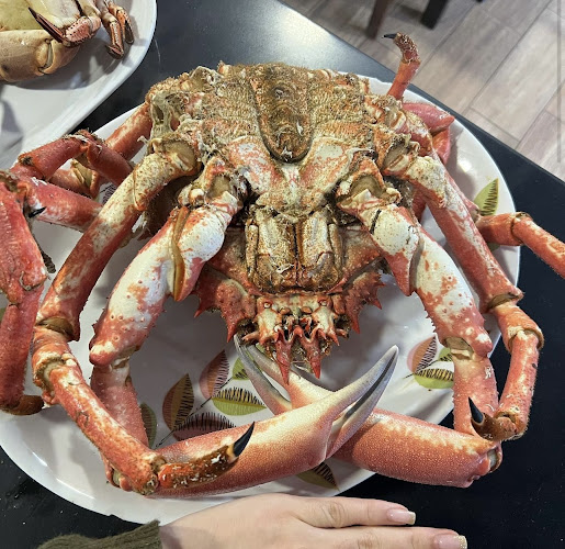 Restaurante Avenida - Gastronomía y hostelería