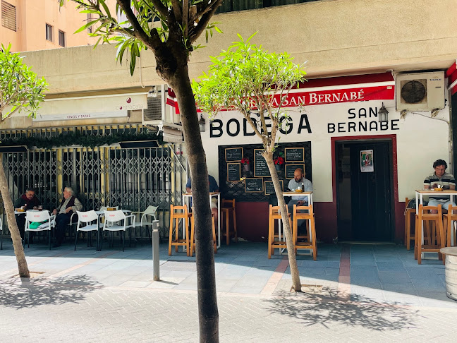 Bodega San Bernabe