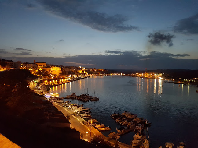 Can Vermut Phone number