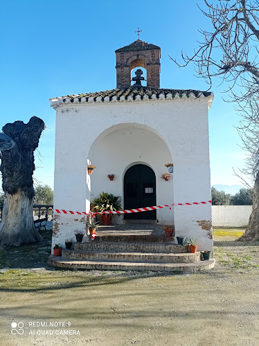 Opinii despre Cafetería Castefa în Santa Fe - Gastronomía y hostelería