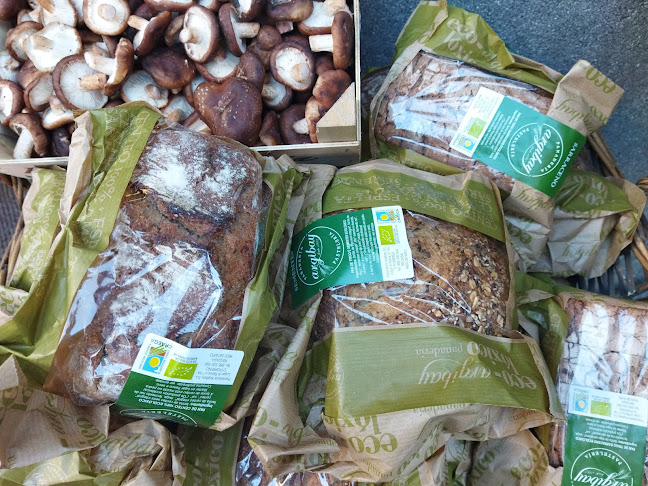 Rúa Telmo Bernárdez, 1, bajo, 36800 Redondela, Pontevedra