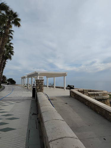 Chiringuito Oasis Playa Phone number