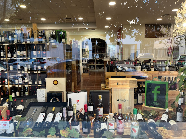 Comentarii opinii despre Vinos Flores