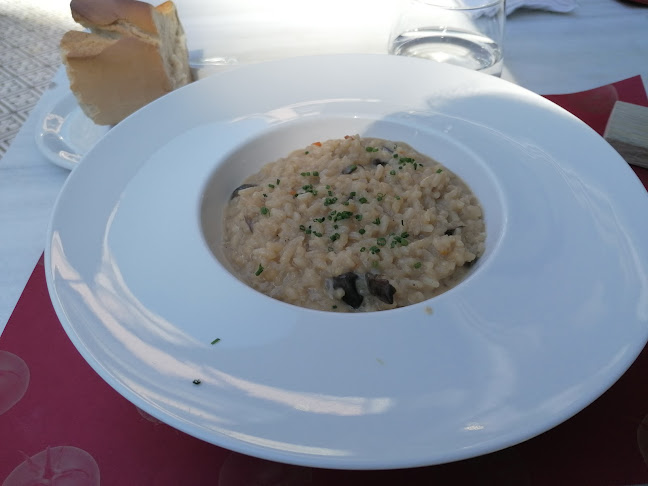 Wine Fandango Open Times