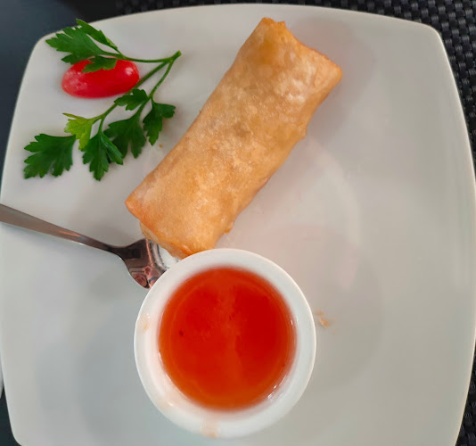 Comentarii opinii despre Panda