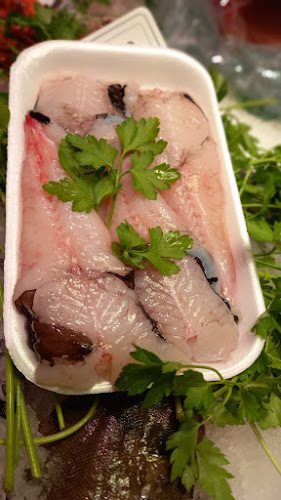 El Peix grup peixos joanmi Open Times