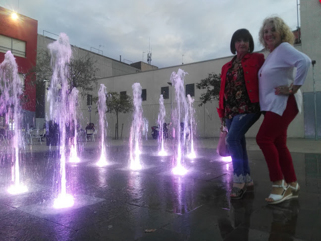 Frankfurt EL LOCAL Open Times