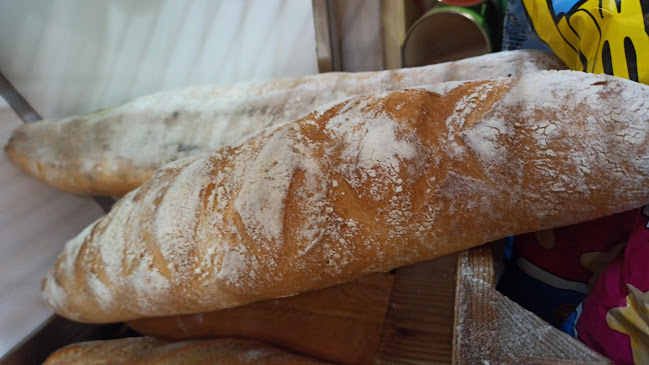 Forn María Antonia Conejero Alario