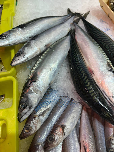 Comments and reviews of El Peix grup peixos joanmi