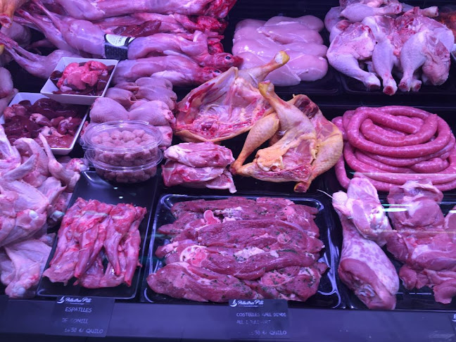 Comentarii opinii despre Pollastres Pili