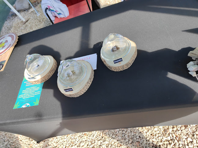 Comentarii opinii despre Kannamon CBD Marketplace