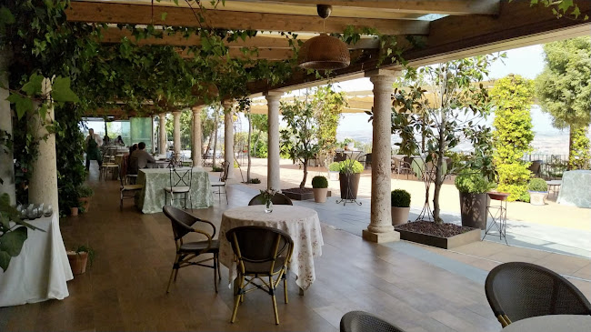 Comentarii opinii despre Adolfo Restaurante