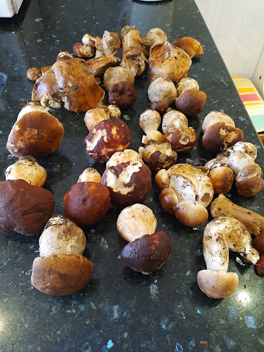 Cervecería Abend en Lasarte-Oria