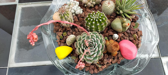 Xarcuteria Ester (Ca la Margaret) - Gironella