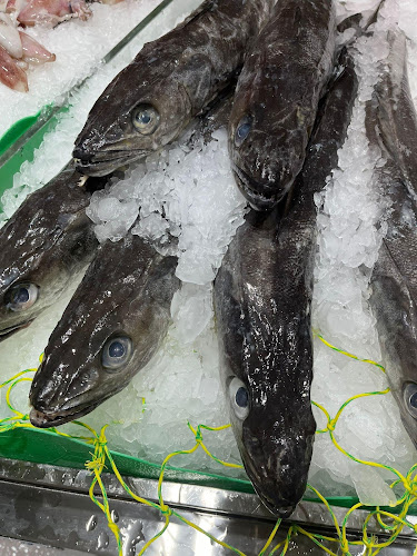 El Peix grup peixos joanmi Open Times