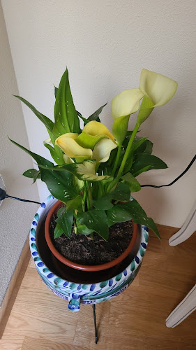 La Tienda Del Fraile - Gastronomía y hostelería