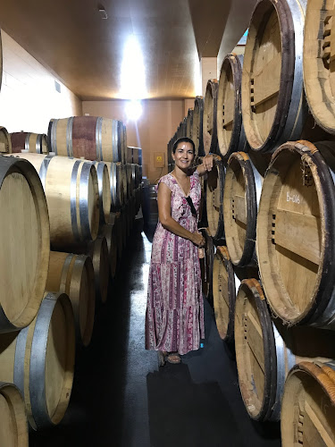 Vino con tino - Gastronomía y hostelería