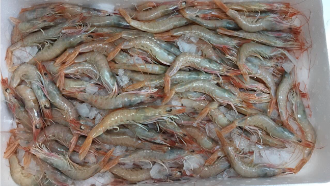 Opinii despre Bar Periqui Chico în Sevilla - Gastronomía y hostelería