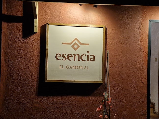 Esencia