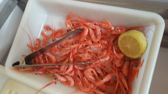 Bar Restaurante Raul - Gastronomía y hostelería