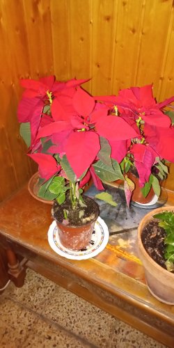 Comments and reviews of Bar Balón