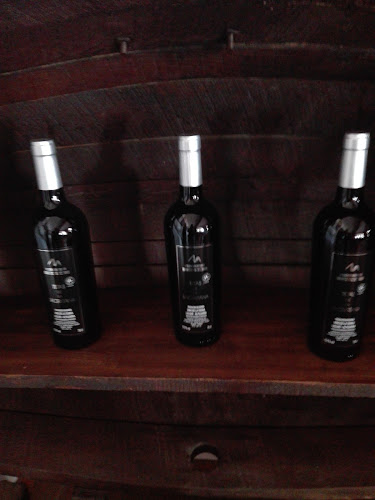 Opinii despre Vinos Tetas De La Sacristana în Fondón - Gastronomía y hostelería