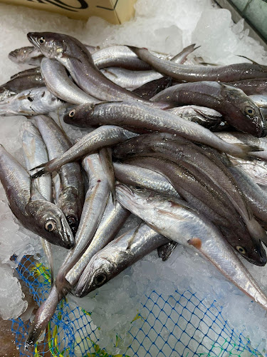 El Peix grup peixos joanmi - Gastronomía y hostelería