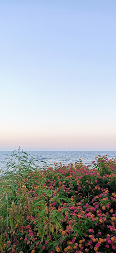 Reviews of hummburger in Alicante - Gastronomía y hostelería