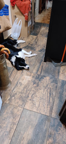 P.º de Marcelino Camacho, 14, Carabanchel, 28025 Madrid