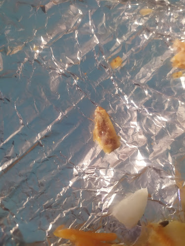 Besòs Pizzeria I Döner Kebab - Gastronomía y hostelería