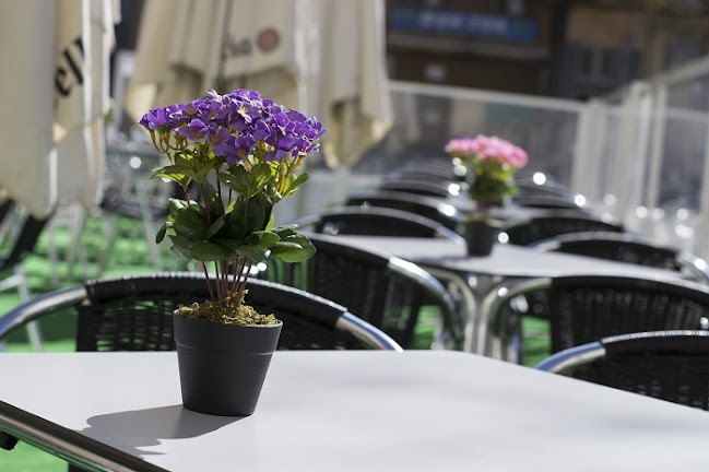 Comentarii opinii despre Restaurante Fusión y Malta