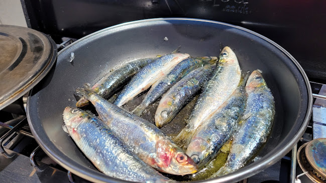 Reviews of Pescados y Mariscos Moñinos in El Campello - Gastronomía y hostelería