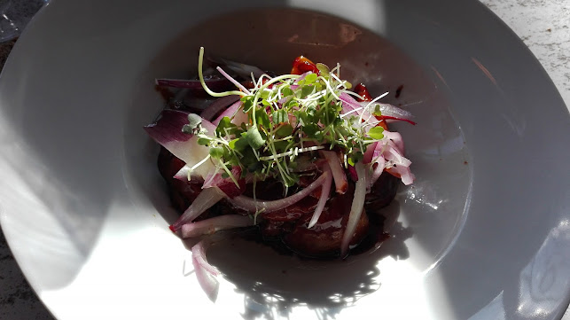 Teckel Madrid - Madrid