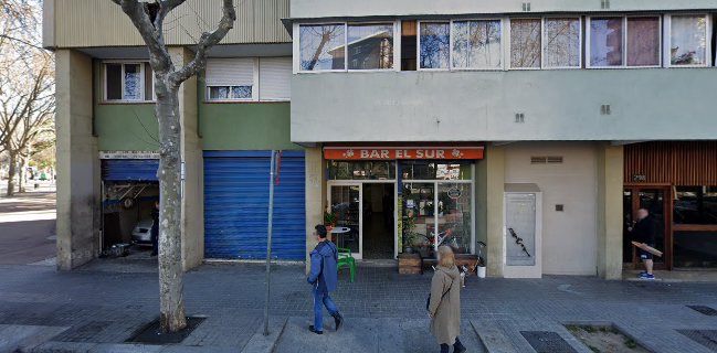 Bar El Sur