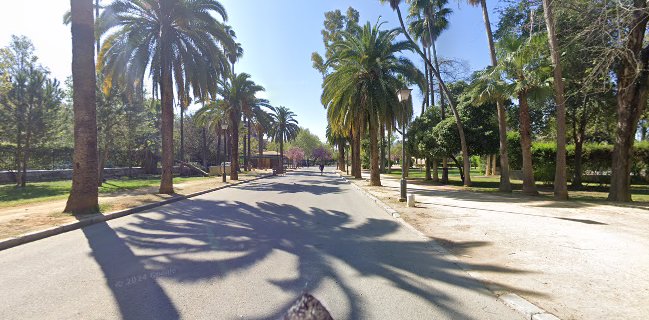 Mercado AFDAI Parque de Mª Luisa